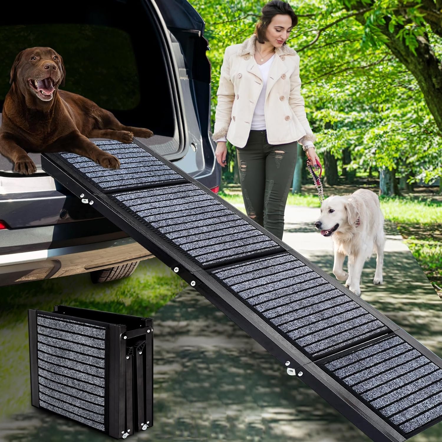 Dog Ramps