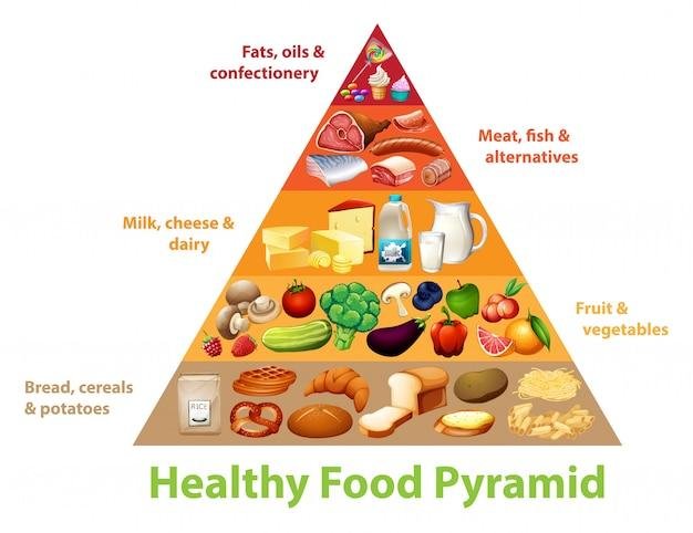 Healthy dog food pyramid