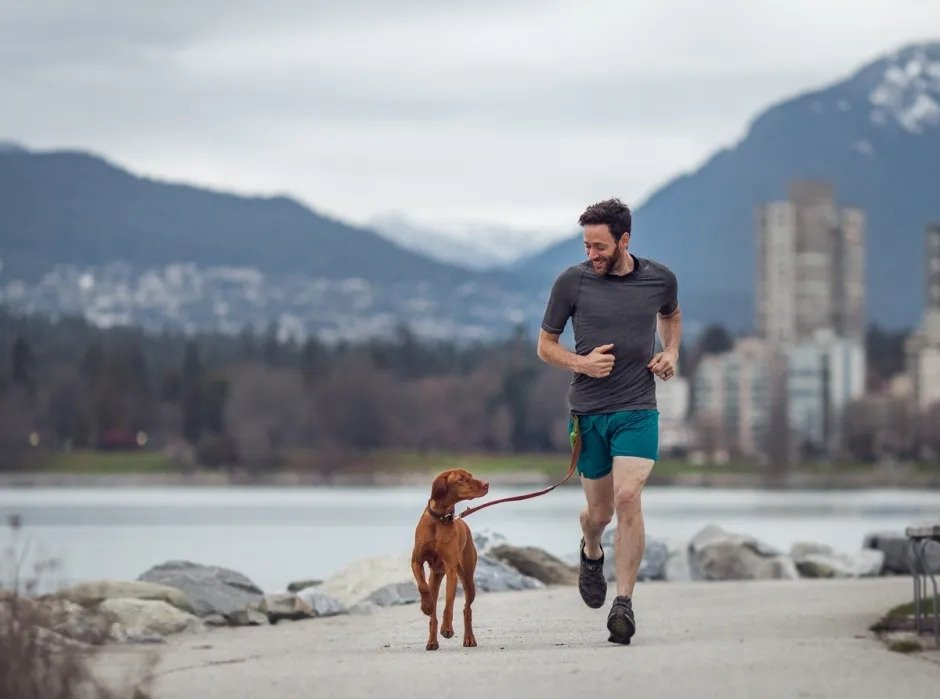 best harness for running